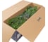 Ель Royal Christmas HALMSTAD PE/PVC PREMIUM-HINGED 240 см 986240 6