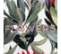 Полотенце Этель Flowers 40x73 см, 100% хлопок, саржа 190 г/м2 9364908 3