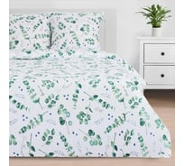 Комплект постельного белья Этель Eucalyptus евро, 200х217 см, 220х240 см, 70х70 см -2 шт., поплин 125 г/м2 4746230