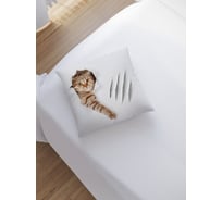 Наволочка декоративная на молнии, чехол на подушку JoyArty "Кот с царапиной” 45x45 см sl_31202