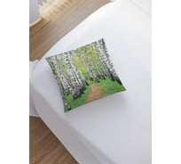 Наволочка декоративная на молнии, чехол на подушку JoyArty "Березовая роща” 45x45 см sl_9342