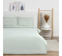 Комплект постельного белья LoveLife 1,5 спальный, Green tea 150х215 см, 150х225 см, 50х70±3 см-2шт, микрофибра 85гр 9444918