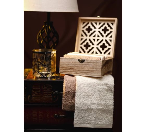 Подарочное полотенце Arya Home 30x30 6 предметов Case Natural экрю, коричневый 8680943109101