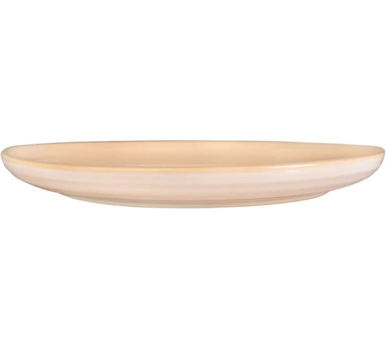 Глиняный набор персональных тарелок Arya Home Stoneware 4 предмета 270x29x194 мм желтый 8680943230003