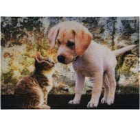 Влаговпитывающий коврик VORTEX Samba Котенок и щенок 40x60 см 24215