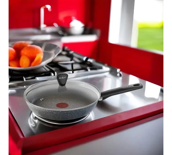 Сковорода TEFAL Natural Cook 04234924 круглая, 24 см, ручка несъемная, с крышкой, серый (9100052848) 1970637