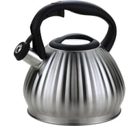 Чайник со свистком MARTA MT-3095 38614