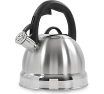 Чайник со свистком MARTA MT-3092 38609