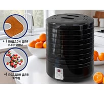 Сушилка для фруктов, овощей STINGRAY ST-FD726B 10 поддонов: 8+1 для ягод+1 для пастилы черный 42888