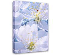 Картина Симфония Яблоневый цвет 40x50 см 1-071