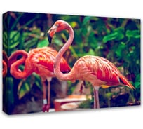 Картина Симфония Фламинго 50x70 см 1-078