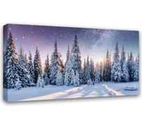 Картина Симфония Зимний лес 50x100 см 1-109