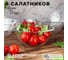 Салатник Pasabahce PSB 130 мм 6 шт. ИНВИТЕЙШН (г. Бор) 10341 3