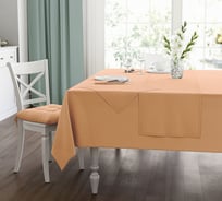 Набор подставок (салфеток) под приборы Guten Morgen Рогожка, Персиковый (35x45 см (2 шт.)) СС-ПРС-35-45-2