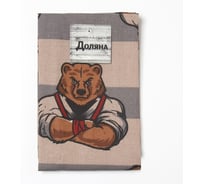 Полотенце кухонное Доляна Защитник 35x60 см, рогожка, 100% хлопок, 160 г/кв.м 10221834
