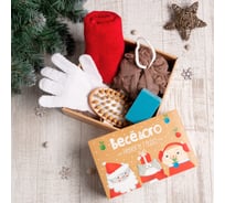 Подарочный набор Этель "Веселого нового года" полотенце 30x60 см и банные аксессуары (4 предмета) 5048158