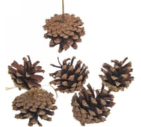 Украшение новогоднее Серпантин "Шишки с золотым инеем" 5,5 см (набор 6 шт.) 196-622