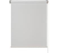 Рулонная штора ПраймДекор блэкаут, белый, 140x170 52140001