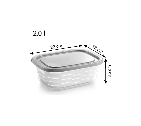 Контейнер Tescoma для морозильника с корзиной 4FOOD 2 л 896942