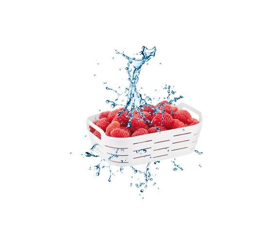 Контейнер Tescoma для морозильника с корзиной 4FOOD 2 л 896942
