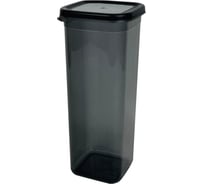 Емкость для сыпучих продуктов Мультипласт Групп 2,1л серый MPG9918