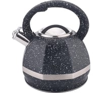 Чайник металлический Winner 3 л WR-9211