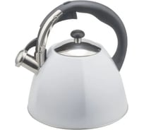 Чайник металлический Winner 3 л WR-5061