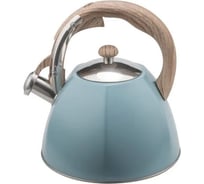 Чайник металлический Winner 3 л WR-5057