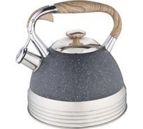 Чайник металлический Winner 3 л WR-5029