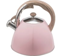 Чайник металлический Winner 3 л WR-5062