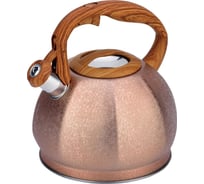 Чайник металлический Winner 3 л WR-5076