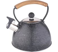 Чайник металлический Winner 2.5 л WR-9203