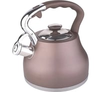 Чайник металлический Winner 2.7 л WR-9204