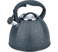 Чайник металлический Winner 3.5 л WR-5075