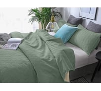 Покрывало Primavelle Pallada 210x230 см, шалфей 25290521-84P