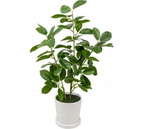 Мини дерево ВеЩицы в керамическом горшке, Д135 Ш135 В610 Mia4