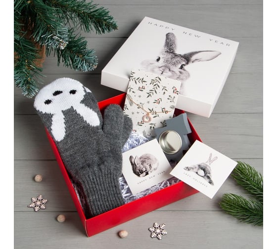 Подарочный набор KAFTAN "Зайка" варежки размер 19 и аксессуары, 4 предмета 9200037 1