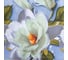 КПБ Этель евро Кувшинки 200x217 см, 220x240 см, 70x70 см -2 шт,100% хл, бязь 3289255 3