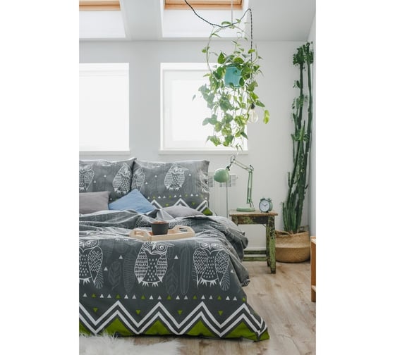 КПБ Этель евро Ушастые совы (вид 1) 200x217 см, 220x240 см, 70x70 - 2 шт, бязь 3988358