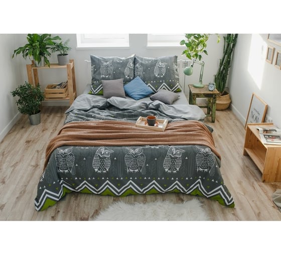 КПБ Этель евро Ушастые совы (вид 1) 200x217 см, 220x240 см, 70x70 - 2 шт, бязь 3988358