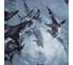 КПБ Этель евро Shark 200x217 см,220x240 см,70x70 см -2 шт,бязь 125 г/м2 7533839 2