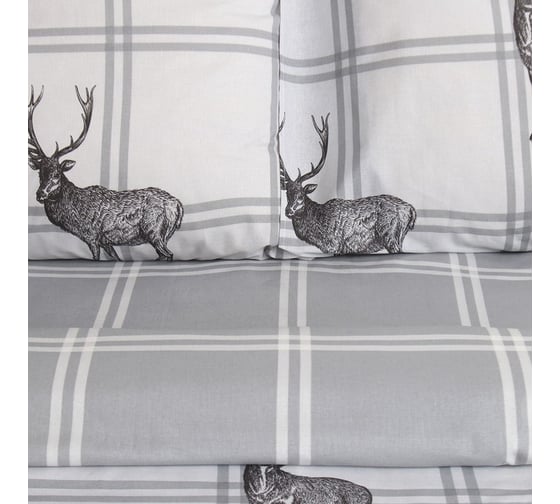 КПБ Этель 2 сп Silver mood 175x215 см, 200x220 см,70x70 см -2 шт, поплин 9823933