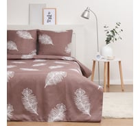 КПБ Экономь и Я дуэт Feathers 143x215см-2шт,215x220см,70x70см-2шт, полисатин, 80г/м² 9845647