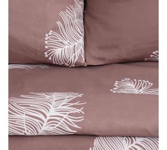 КПБ Экономь и Я дуэт Feathers 143x215см-2шт,215x220см,70x70см-2шт, полисатин, 80г/м² 9845647
