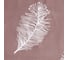 КПБ Экономь и Я дуэт Feathers 143x215см-2шт,215x220см,70x70см-2шт, полисатин, 80г/м² 9845647 3