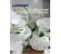 Столовый набор LUMINARC DIWALI WHITE ORCHID 46 предметов P0328 17