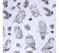Покрывало LoveLife 2 сп Owls 180*210±5см, микрофайбер, 100% полиэстер 9629509