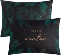 Комплект наволочек Этель Winter 50x70 см - 2 шт, 100% хлопокопок, бязь 7673993