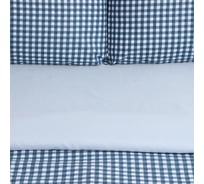 Комплект постельного белья Этель 1,5 сп Blue cage 150x215см, 150x225см, 50x70± 3см-2 шт, новосатин 10326522