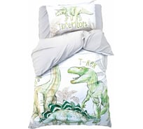 Комплект постельного белья Этель 1,5 сп Dino world 143x215 см, 150x214 см, 50x70 см -1 шт, 100% хлопок, бязь 9935046